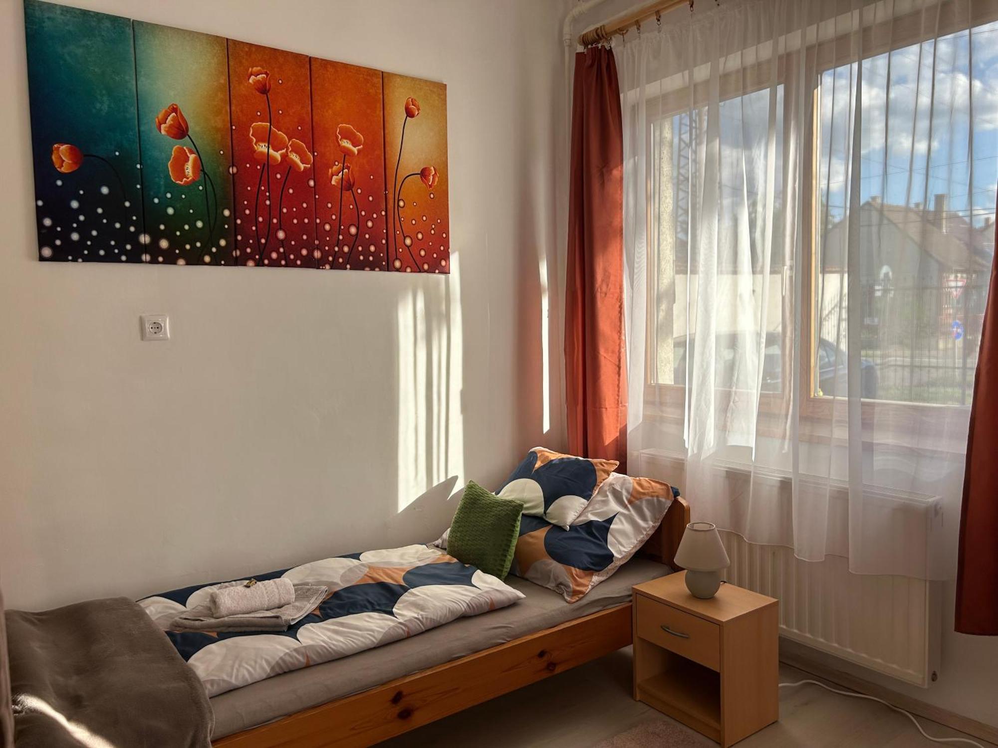 Tavaszpart Vendeghaz Apartment Szeged Exterior photo